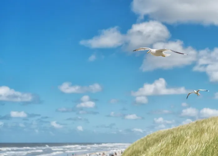 Waterkant 3 * Шпикерог